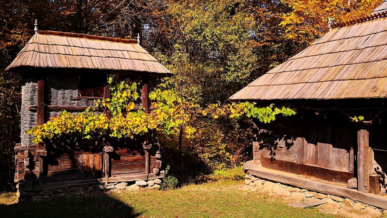 Ziua Satului Românesc - Târgul pâinii, cu reprezentanţi din Brazilia, Iran, Mexic, Tunisia, Egipt, Algeria, este organizat în 27-28 septembrie în curtea Muzeului Satului