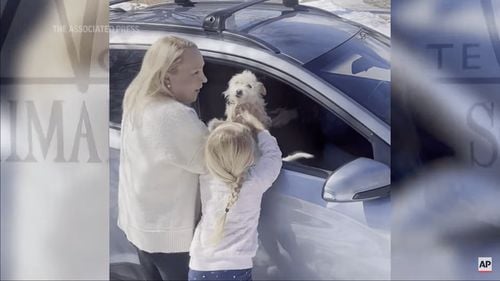 VIDEO „Poveste demnă de Hollywood”: O căţeluşă dată dispărută în California, regăsită în statul Michigan, la 3.770 de kilometri de casă