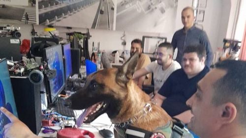 Un student la Inginerie din Galați susține că a creat un sistem de inteligență artificială care traduce limbajul câinilor. Permite comunicarea bidirecțională și poate salva vieți omenești în caz de dezastre