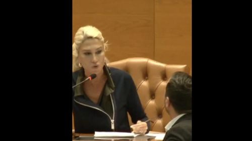 VIDEO Schimb de replici între Raluca Turcan şi deputaţi ai AUR şi S.O.S. România: Nu mă las intimidată cu atâţia domni în faţă. Suntem în timpul programului, mergeţi la loc. Nu ţipaţi, că nu mă intimidaţi