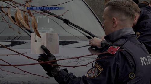 Poliţia austriacă, în căutarea unui fugar înarmat foarte periculos şi autor a cel puţin două crime
