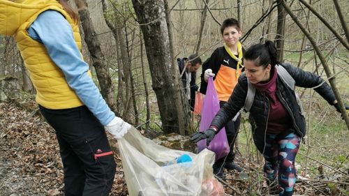 Peste 8.000 de persoane urmează să participe la o acțiune de ecologizare în Maramureș / "Curăţăm Maramureşul" se numește campania care va fi activă cinci zile, în 70 de localități din județ