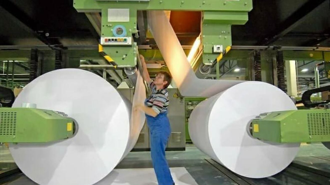 Exonia va cumpăra două fabrici cu linii tehnologice complete pentru fabricarea ambalajelor biodegradabile din hârtie în a doua parte a anului viitor/ Compania va investi 50 milioane euro până la finalul lui 2023