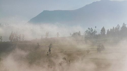 Un curent tropical va aduce praf saharian în România în următoarele trei zile