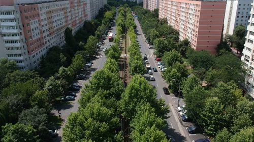 Aproximativ 2.000 de arbori vor fi plantați în Sectorul 5, până la sfârșitul lunii / City Manager: În acest an vor fi plantați 10 mii de arbori