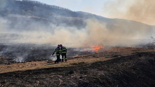 Incendiu de vegetație pe 20 de hectare în Hunedoara. Intervenție dificilă din cauza vântului puternic