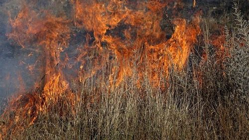 Evacuări din cauza incendiilor de vegetaţie în sudul şi vestul Turciei / Nu a fost afectat deocamdată nici un turist din regiunea Antalya