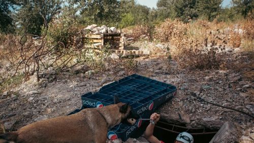 Trei cazuri de tetanos raportate anul acesta, toate la copii / 64 de cazuri şi 3 decese în ultimii 10 ani / Recomandările INSP