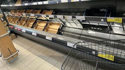 Criza fructelor și legumelor din Marea Britanie ar putea dura încă o lună, anunță guvernul  