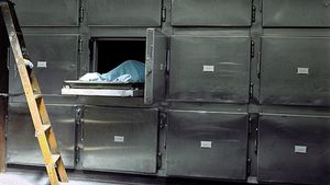 SURSE Rezultatele necropsiei, după deshumarea cadavrului fostului ministru al Justiției Rodica Stănoiu: Nu există leziuni, nu există suspiciunea de omor