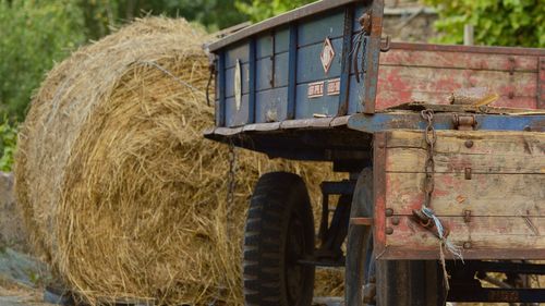 Ministrul Agriculturii participă joi la un congres internațional despre ”România în context Green Deal”
