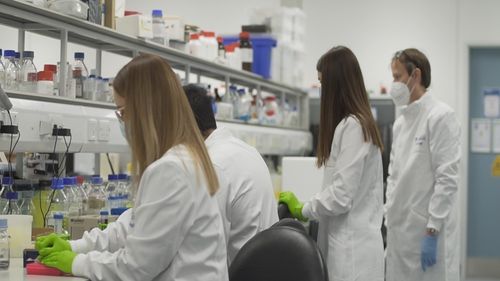 Celule musculare umane crescute în laborator vor fi lansate în spațiu pentru studierea procesului de îmbătrânire