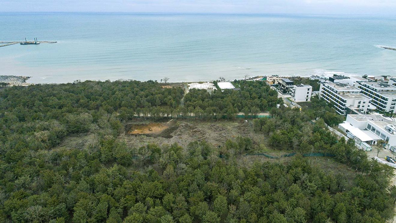 Agent Green consideră că Noul cod silvic aprobat de Guvern este un ”atentat brutal la siguranţa naţională”: 838.000 de hectare cu păduri care nu sunt în fondul forestier naţional vor putea fi tăiate definitiv, avertizează organizația