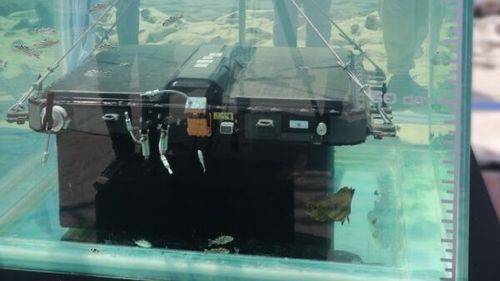 Poate bateria unei mașini să reziste peste 50 de ore sub apă sărată? Testul făcut de compania chineză Chery