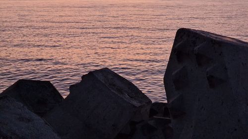 Ministrul Mediului, despre poluarea din Marea Neagră: Dacă unda de poluare ajunge la Odesa, atunci putem să vorbim de o eventuală poluare a litoralului românesc/ Acest lucru este improbabil, în acest moment