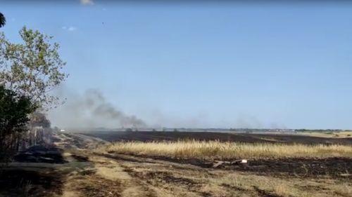 Olt: Incendiu de vegetație, propagat la mai multe gospodării în Piatra Olt / O anexă în care se aflau 25 de animale, vaci și capre, a ars în totalitate