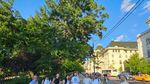 FOTO REPORTAJ | Clean-up comunitar pe Bulevardul Regina Elisabeta: cum s-au dezvoltat, după doi ani, copacii plantați prin proiectul civic „Coroană Verde”, care va uni într-o zi coroanele arborilor din centrul Capitalei