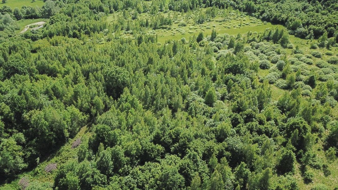 Federaţia Proprietarilor de Păduri şi Păşuni pichetează luni Ministerul Agriculturii acuzând subfinanţarea domeniului în Planul Naţional Strategic 2023-2027