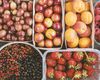 Fructele de vară care pot ajuta la reglarea tensiunii arteriale / Dr. Daciana Toma spune că sunt bogate în potasiu, antioxidanți și fibre / Iată ce poți mânca