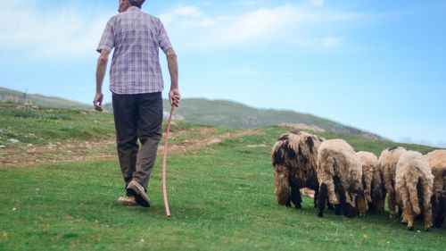 Un cioban din Brăila a fost mai corect decât vicepremierul demisionar Dragoș Anastasiu / Le-a dat 800 de lei unor inspectori de la Antifraudă și apoi i-a denunțat / Cei doi inspectori au fost filmați când s-au întors după 8 kilograme de brânză / Ce pedepse au primit