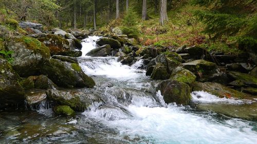 România va avea o hartă digitală a apelor minerale / ”Vor apărea pe site și izvoare de apă minerală, 200 de astfel de izvoare au fost identificate”