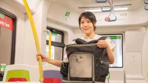 Metroul din Hong Kong devine “pet-friendly”: Cum a reușit un oraș să adapteze transportul public pentru animalele de companie