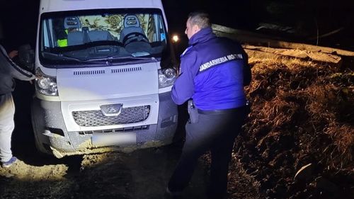 Un brașovean s-a rătăcit pe un drum forestier din județul Bacău, în drum spre casă / Susține că a fost indus în eroare de GSP / A mers pe jos 10 km să găsească semnal la telefon și s-a întâlnit cu un urs / Au intervenit jandarmii montani