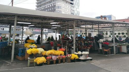 FOTO Reportaj la piață, cu inflație de două cifre, în prag de sărbători. Ce poți să mai cumperi cu 100 de lei, într-un oraș mare din România?