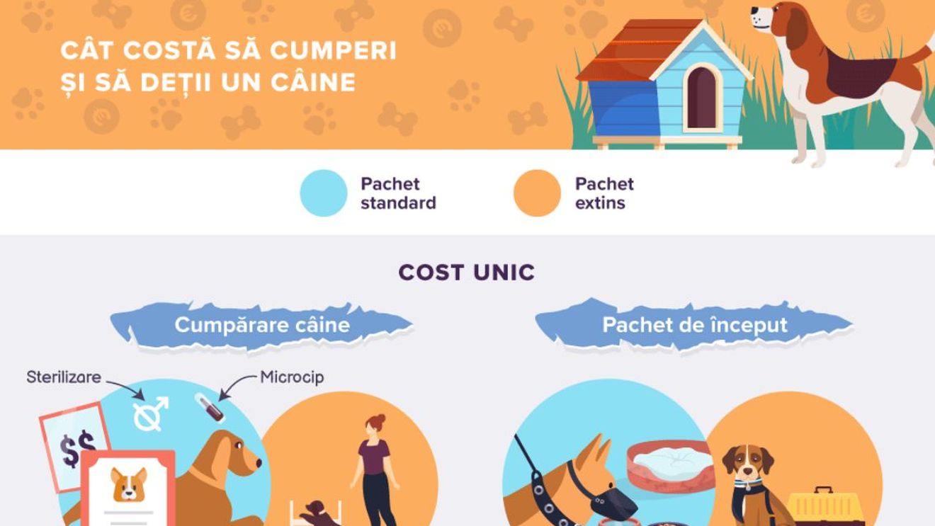 Analiză. Interesul oamenilor de a obține un animal de companie a crescut cu 155% în timpul pandemiei. Cât te costă să ai acasă un câine sau o pisică?