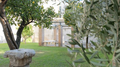 Un palat istoric din Roma, în care a locuit cândva fostul papă Ioan Paul al II-lea, scos la vânzare