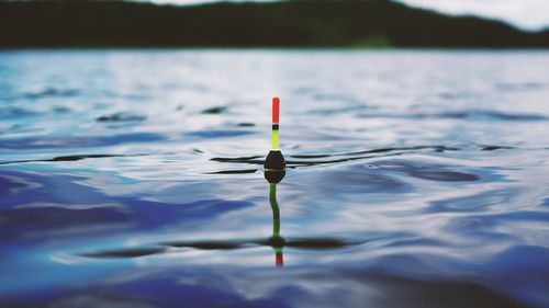 Ministrul britanic de externe s-a autodenunţat la Agenţia pentru Mediu după ce a pescuit cu JD Vance fără să aibă permis