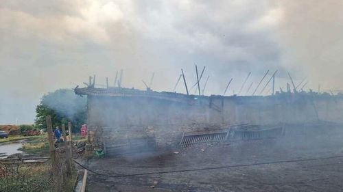 Zeci de animale au pierit într-un incendiu, în județul Constanţa, cel mai probabil după ce grajdul a fost lovit de trăznet