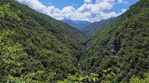 Yellowestone de Făgăraș: Un grup de filantropi cumpără mari suprafețe de teren într-unul din cele mai importante ecosisteme sălbatice din Europa