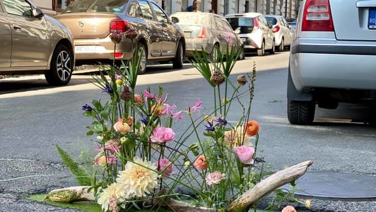 Manifest neobișnuit în București: O florărie face aranjamente florale în gropile din Capitală "pentru a atrage atenția asupra unor reguli sau nereguli" VIDEO