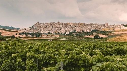 Airbnb cumpără „casă cu 1 euro” în Sicilia și caută o gazdă pentru un an care să închirieze camerele