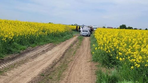 Descoperire macabră: Un craniu uman și fragmente de oase carbonizate au fost găsite în portbagajul unei mașini incendiate la marginea Bucureștiului (surse)