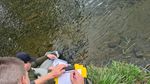 StudiiDeMediu.ai: ghidul tău în jungla documentațiilor de mediu