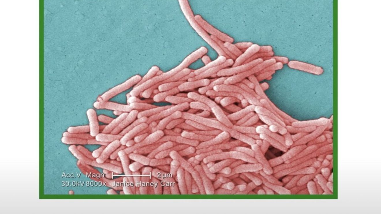 Trei morți în Polonia, în urma contaminării cu bacteria Legionella / Alte 71 de persoane au fost spitalizate