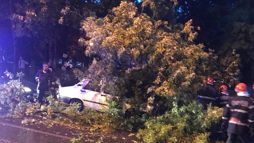 Primarul din Constanța spune că va găsi soluții pentru toate sesizările de după distrugerile produse de furtuna de sâmbătă: Am făcut un tur prin oraş, am evaluat daunele. O furtună de o asemenea violenţă nu cred că a fost vreodată la noi