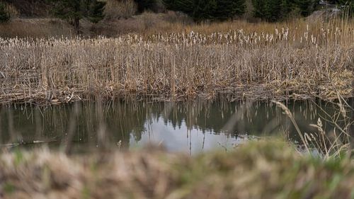 Suceava: Iazurile de decantare, dintre care patru cu cianuri, verificate după ploile abundente căzute în judeţ