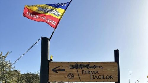 Șeful Protecției Consumatorilor lăuda acum două luni Ferma Dacilor, care a ars cu turiști cu tot, și spunea că e prieten de 31 de ani cu patronul - interlop / PSD-istul Horia Constantinescu pozează în inamicul multinaționalelor și prietenul afaceriștilor români