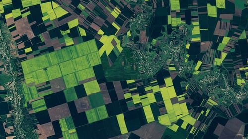 Lanurile de rapiță din sudul României au devenit vedetă la NASA: imagini spectaculoase din satelit