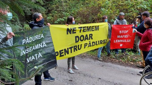 Protest al activiştilor de mediu la Suceava, unde un activist şi doi jurnalişti au fost bătuţi. Protestatarii cer autorităţilor „maximă seriozitate” în investigarea cazului