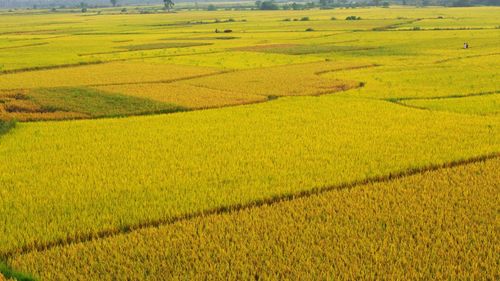 Practicile comerciale neloiale şi consolidarea poziţiei fermierilor în cadrul lanţului de aprovizionare cu alimente, pe agenda Consiliului AgriFish de luni