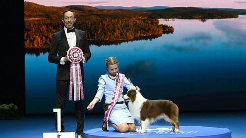 VIDEO | Podiumul mondial strălucește în culorile României. O tânără din Cluj și câinele său cuceresc aurul la cel mai important concurs canin al anului / Mesajul postat de Alexandra Ambruș după victorie