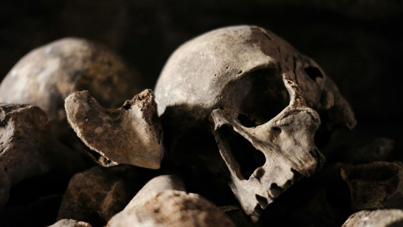 Peste 50 de morminte găsite în curtea unui liceu din Lugoj / Este un cimitir medieval complex cu posibile extinderi în curțile din jur / „E o adevărată fereastră către trecutul orașului„