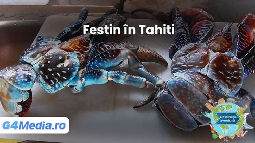 VIDEO Mâncărurile tradiționale tahitiene: Fafaru te pregătește pentru o provocare olfactivă