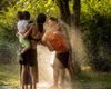 Cod roșu de caniculă în aproape toată țara / Temperaturile vor ajunge până la 41 de grade Celsius /  Restricții de circulație pe șosele
