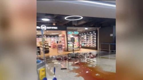 VIDEO O stewardesă care a fost concediată distruge un duty free din Aeroportul Fiumicino (Roma) / În câteva minute a provocat pagube de 1.500 de euro