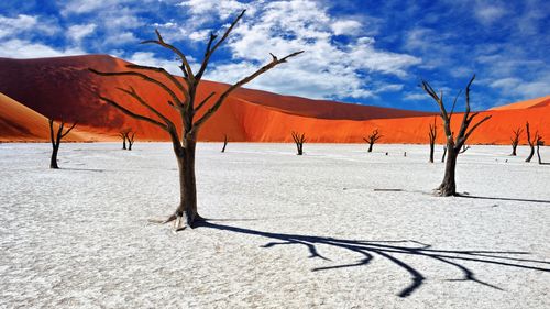 Namibia cere din nou Germaniei reparaţii pentru genocidul populaţiilor herero şi nama